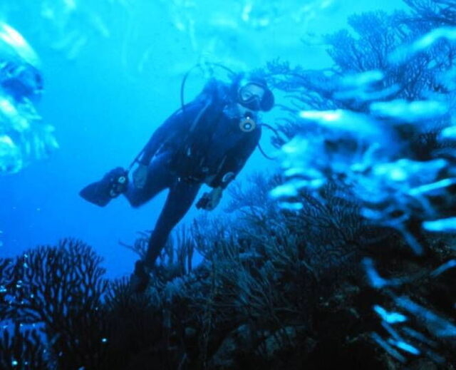 Plongée sous-marine en Toscane!
