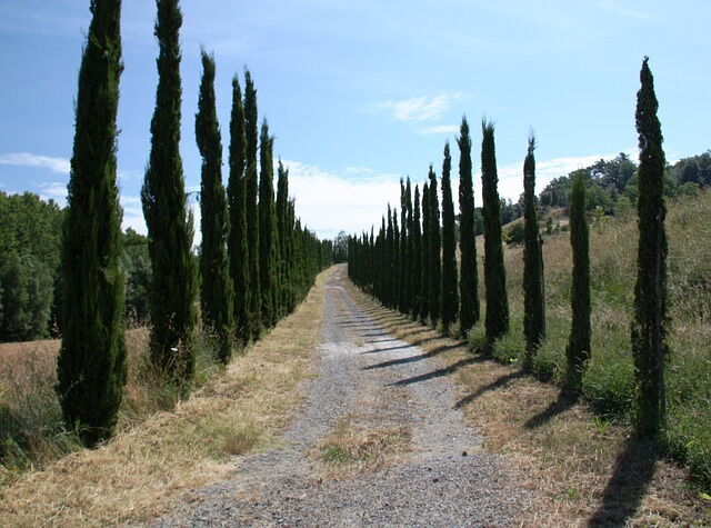 La Campagne Toscane
