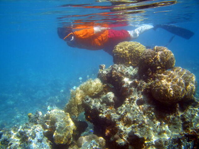 La plongée sous-marine