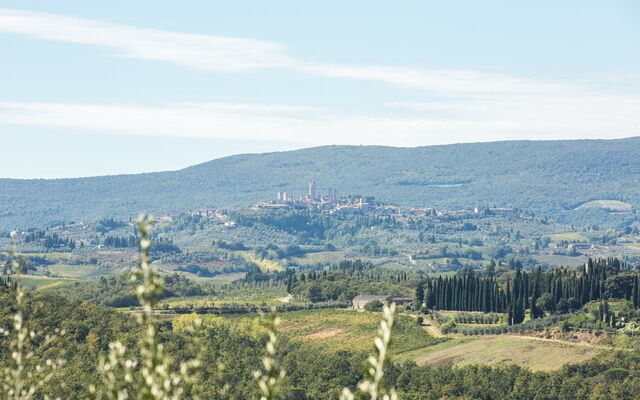 treppie vue