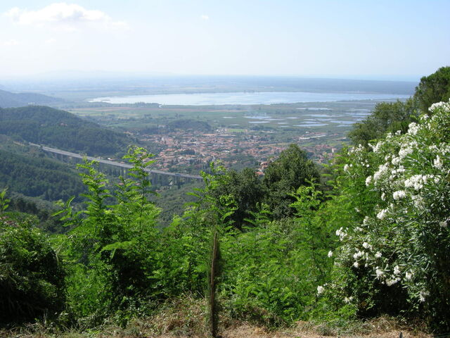 Vue sur le Lago Massaciuccoli