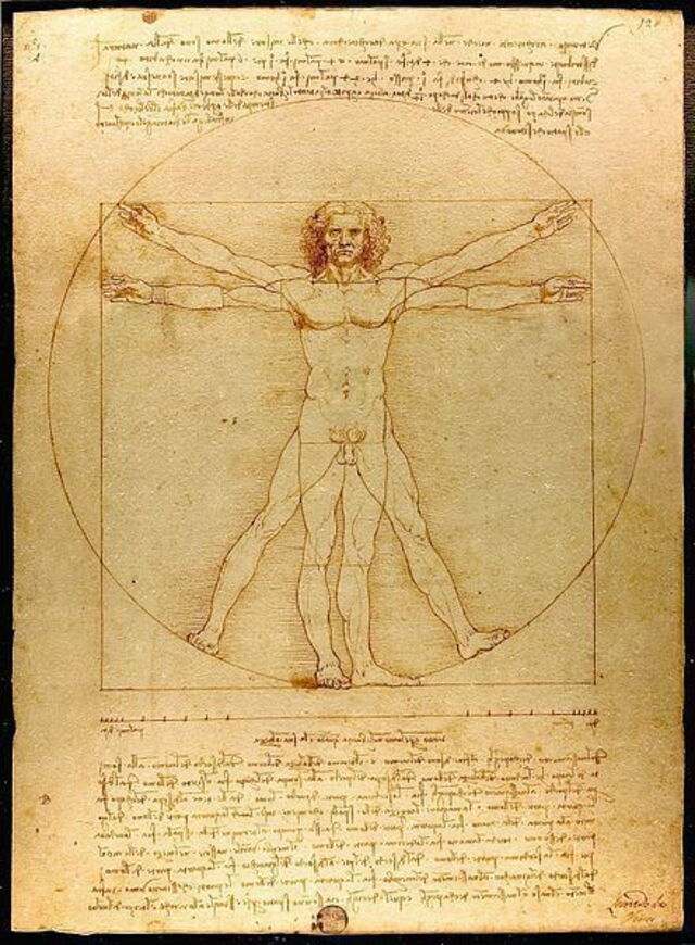 L'Homme de Vitruve