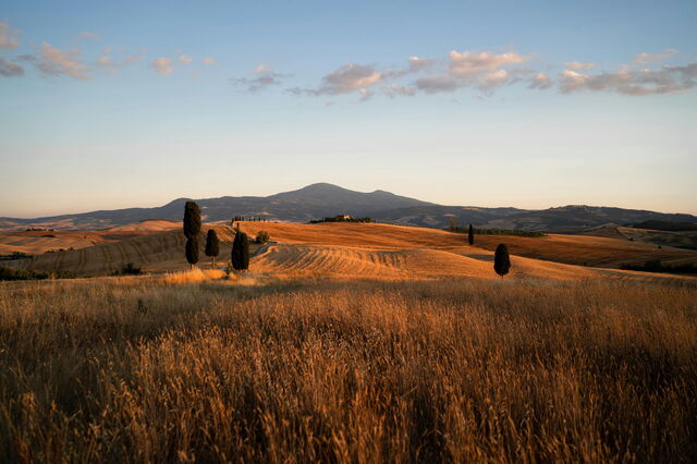 paysage montalcino