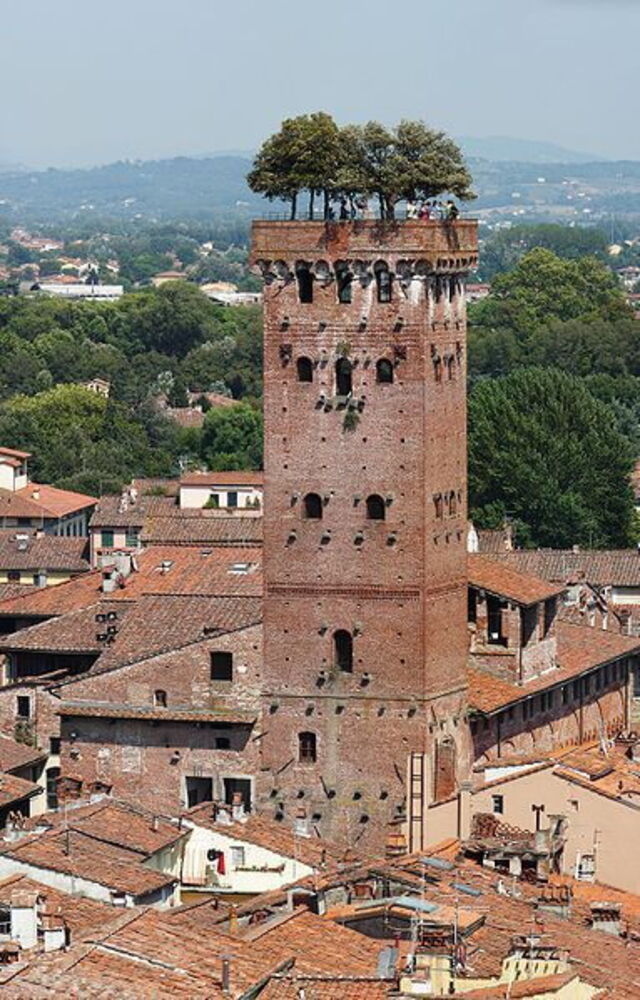 La Torre Guinigi à Lucques