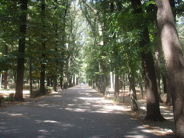 Un chemin dans le Parco delle Cascine