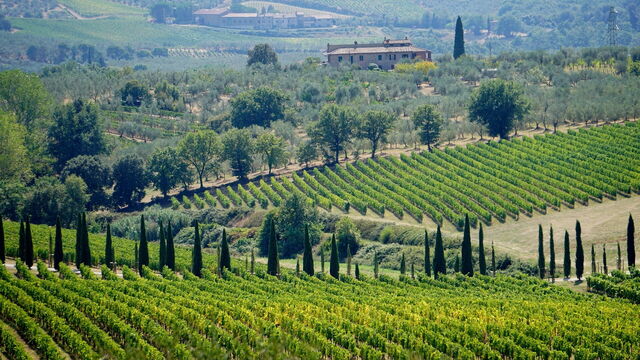 Tuscany