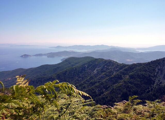 elba