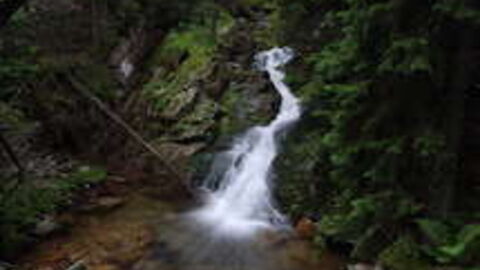 Un printemps frais dans la montagne