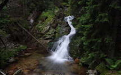 Un printemps frais dans la montagne