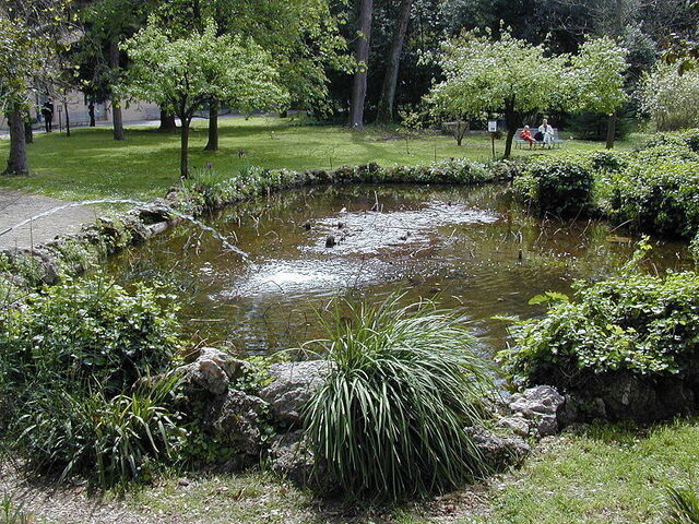un étang dans les Jardins Botaniques de Pise