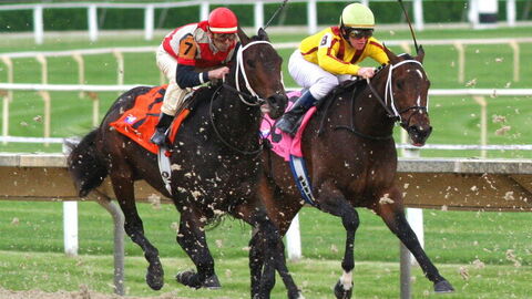 Course de chevaux en Toscane