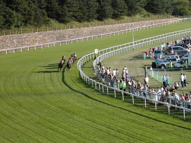 Champ de courses