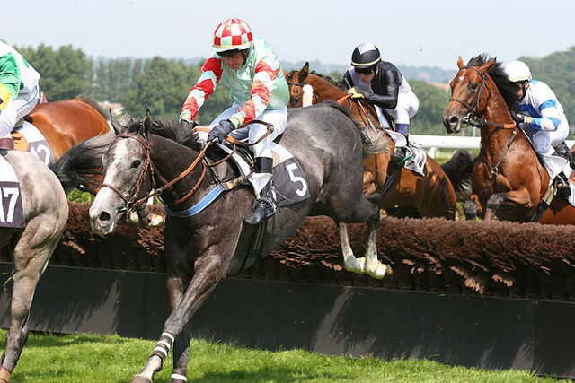 Course d'obstacle