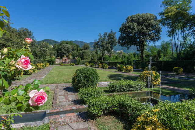 Jardin espagnol, pelouse