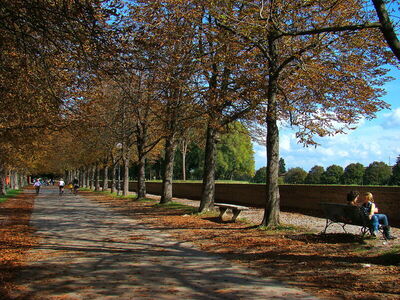 Promenade sur les murs de la cité