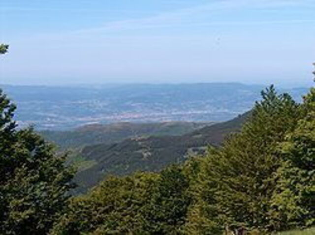 Vue sur la vallée du Valdarno