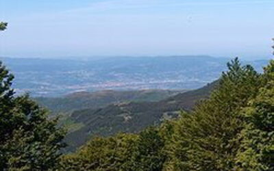 Vue sur la vallée du Valdarno