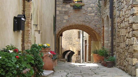 une rue pavée de Bibbona