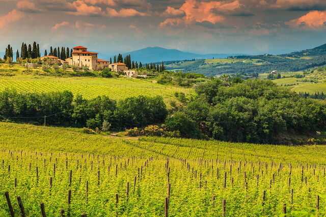 chianti