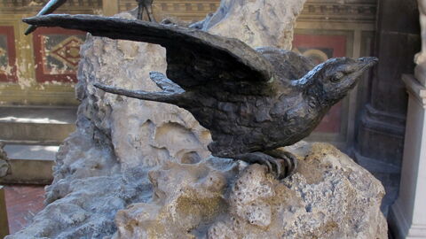 oiseaux de Giambologna