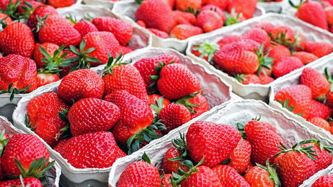 fraises