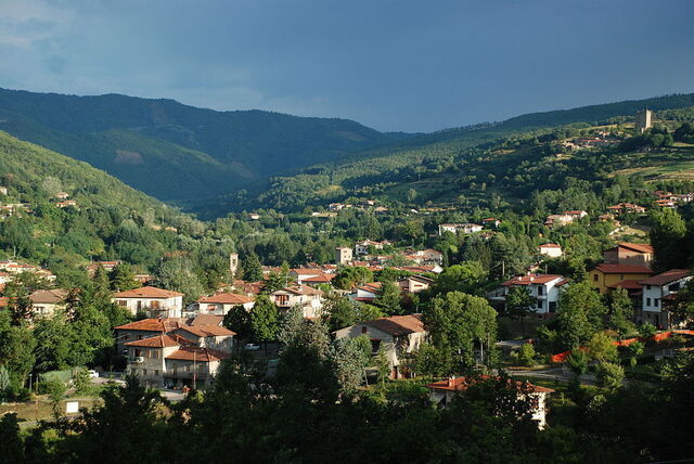 Vue sur le village de Stia