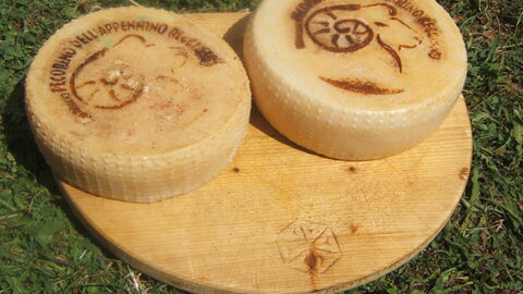 Le fameux fromage Pecorino