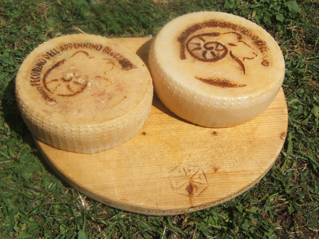 Le fameux fromage Pecorino