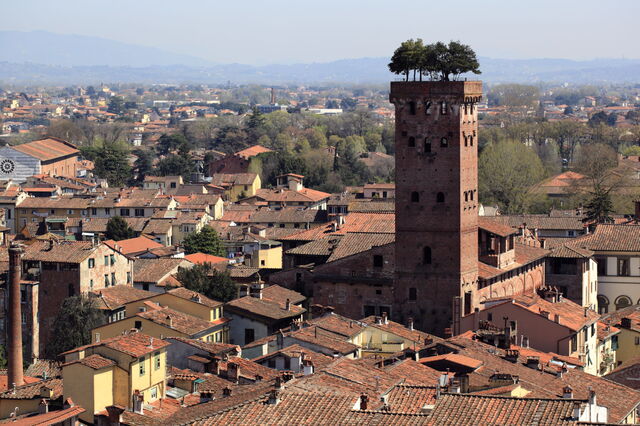 Vue de Torre Guinigi