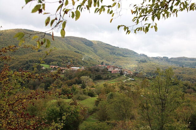 Vue de Careggine à travers les arbres environnants