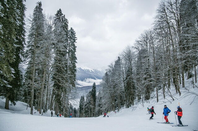 skier