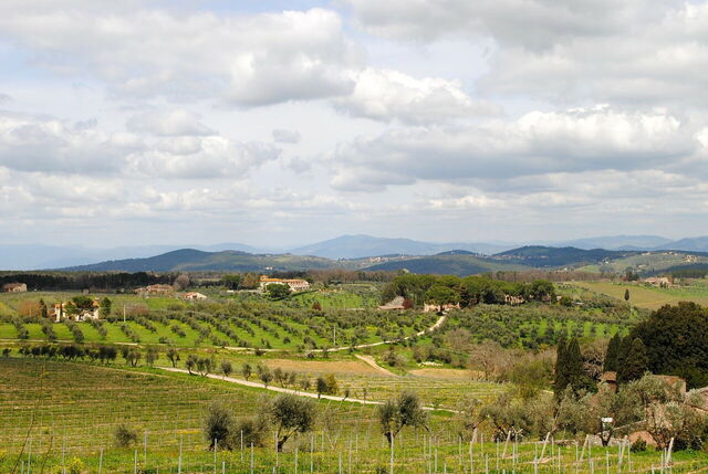Un paysage de Toscane