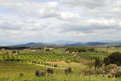 Un paysage de Toscane