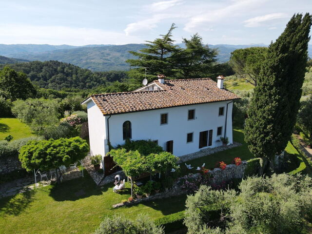 Villa Mami, extérieur