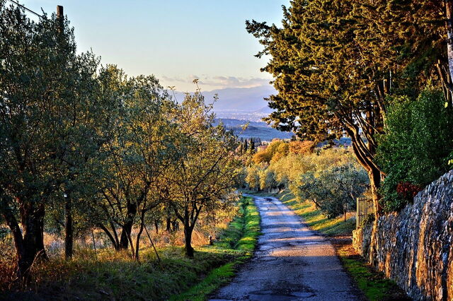 Une route dans le Chianti
