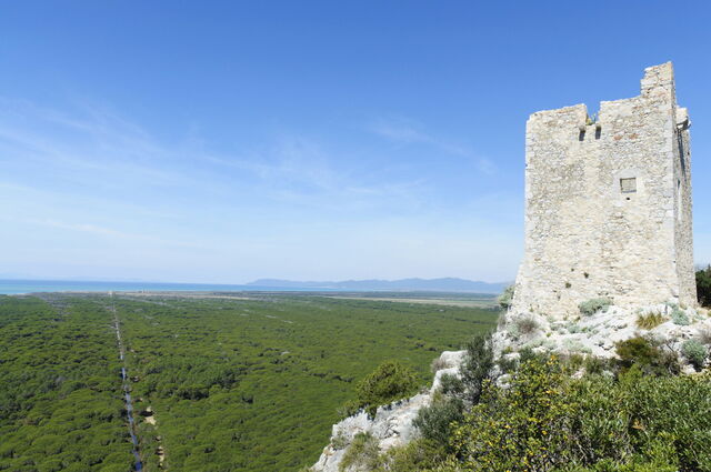 Vue de la Tour médiévaux