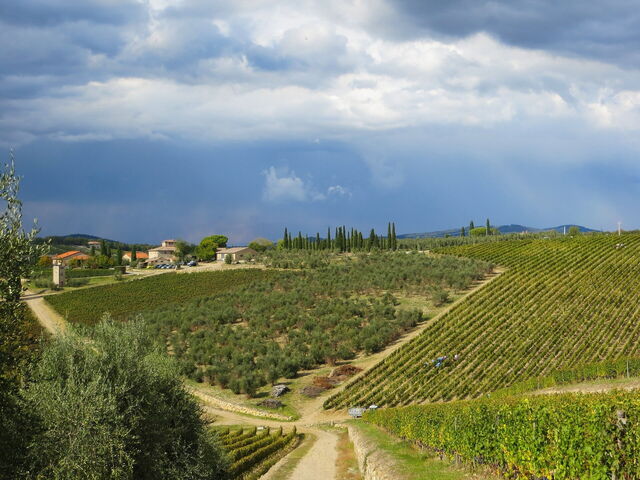 vignobles toscane