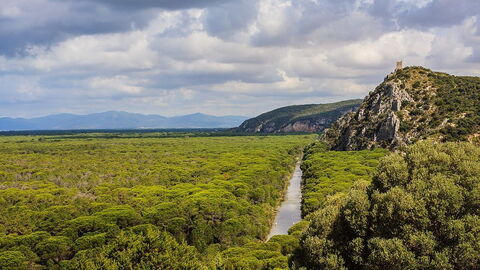 Parc régional de la Maremme