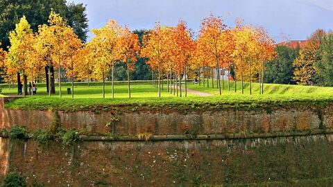 Jardin sur les murailles de Lucques