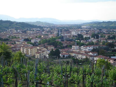 Vue sur Montevarchi