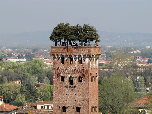 Jardin suspendu de la Torre Guinigi à Lucca