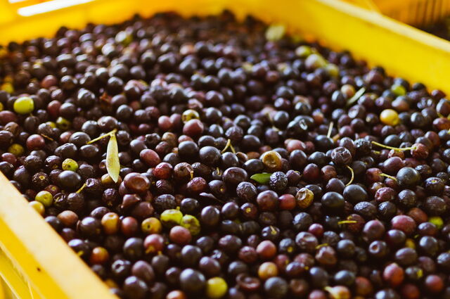 olives