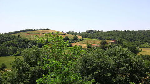 Paysage de Poggibonsi