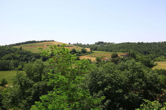 Paysage de Poggibonsi