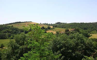 Paysage de Poggibonsi