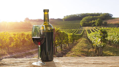 Un vignoble dans le Chianti