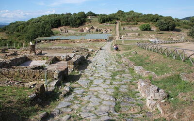 Vue sur le parc archéologique de Roselle