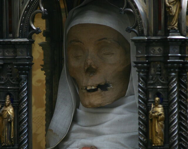 La tête de St Catherine's