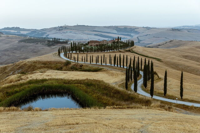 Routes bordées de cyprès en Toscane