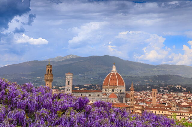 Glycine et vue sur Florence